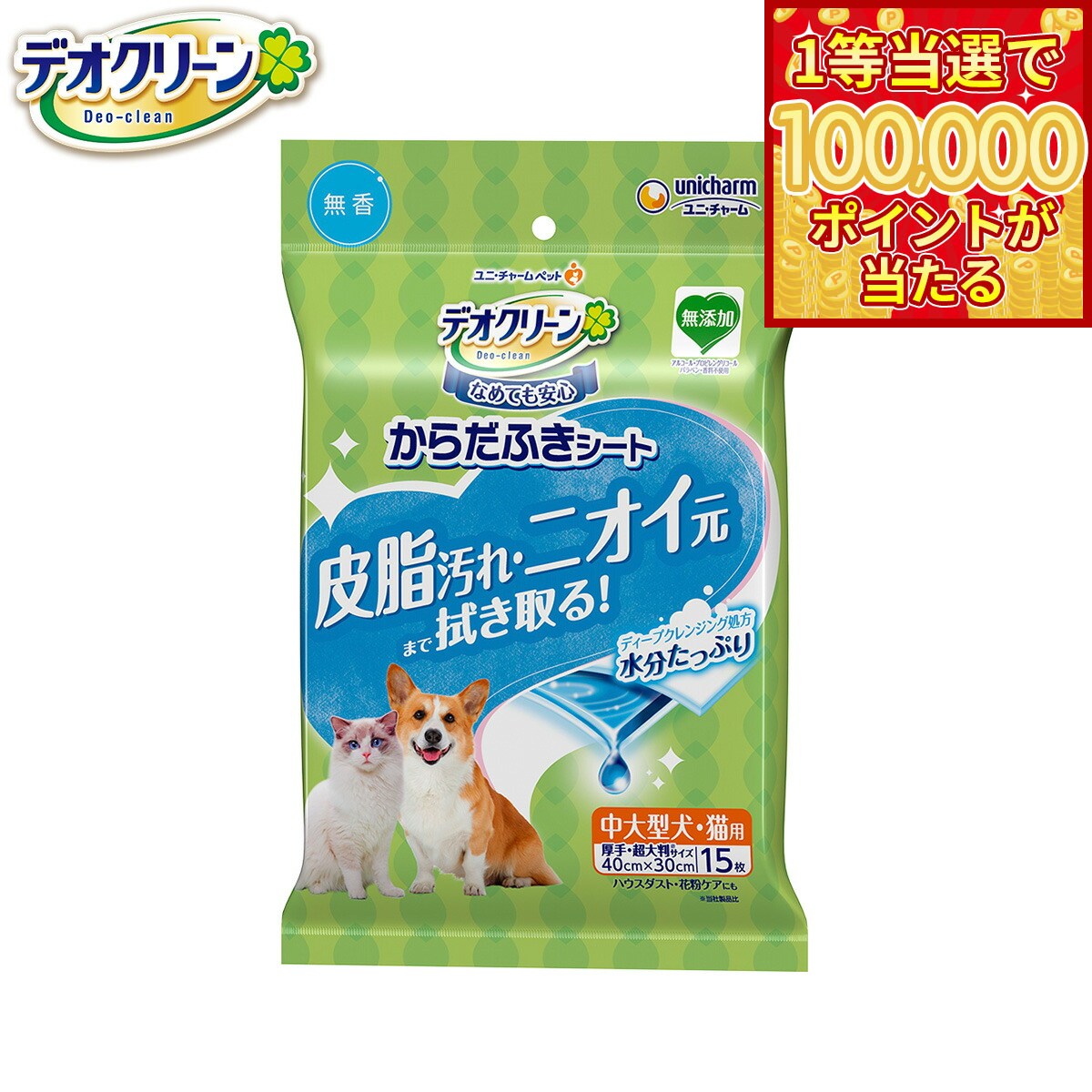 【1等最大10万ポイント