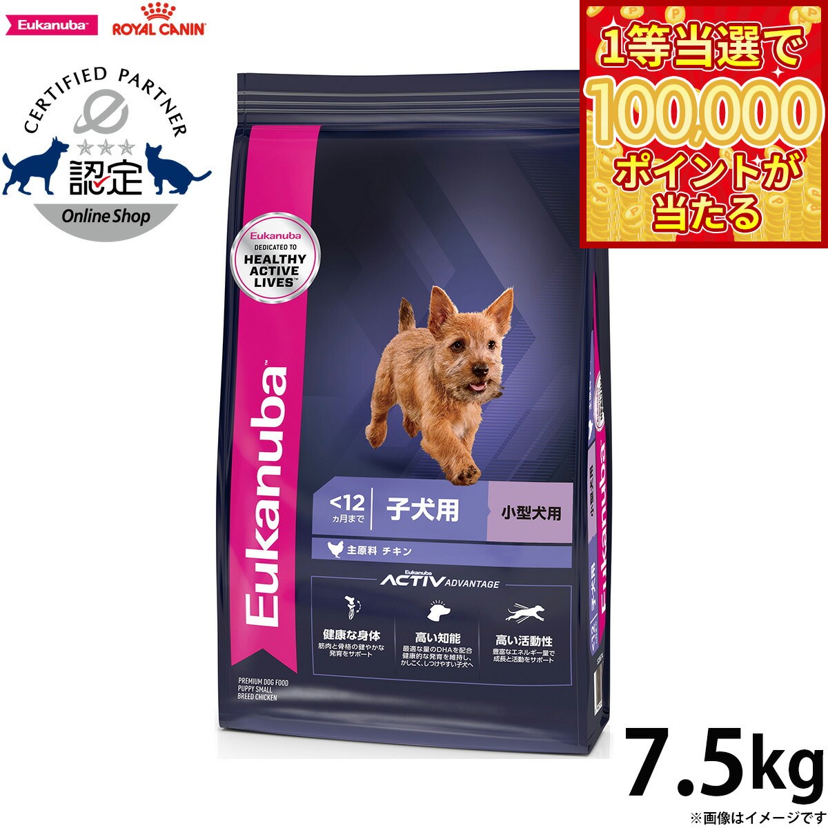 ユーカヌバEukanubaドッグフ...