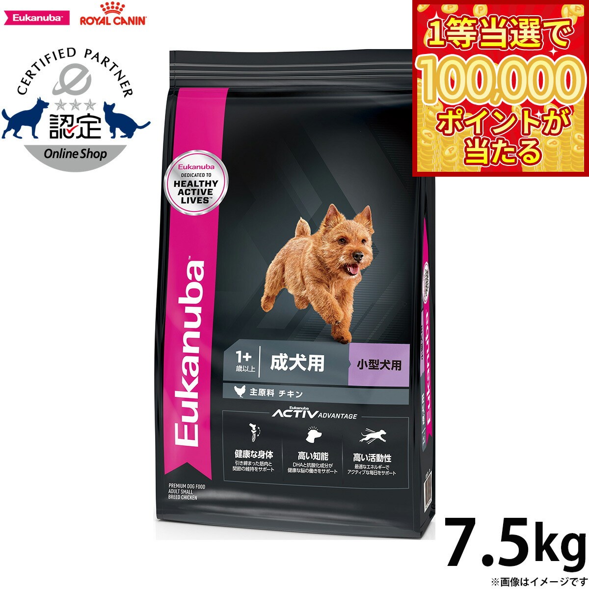 【1等最大10万ポイント当たる！20日から！】ユーカヌバ Eukanuba ドッグフード スモール  ...