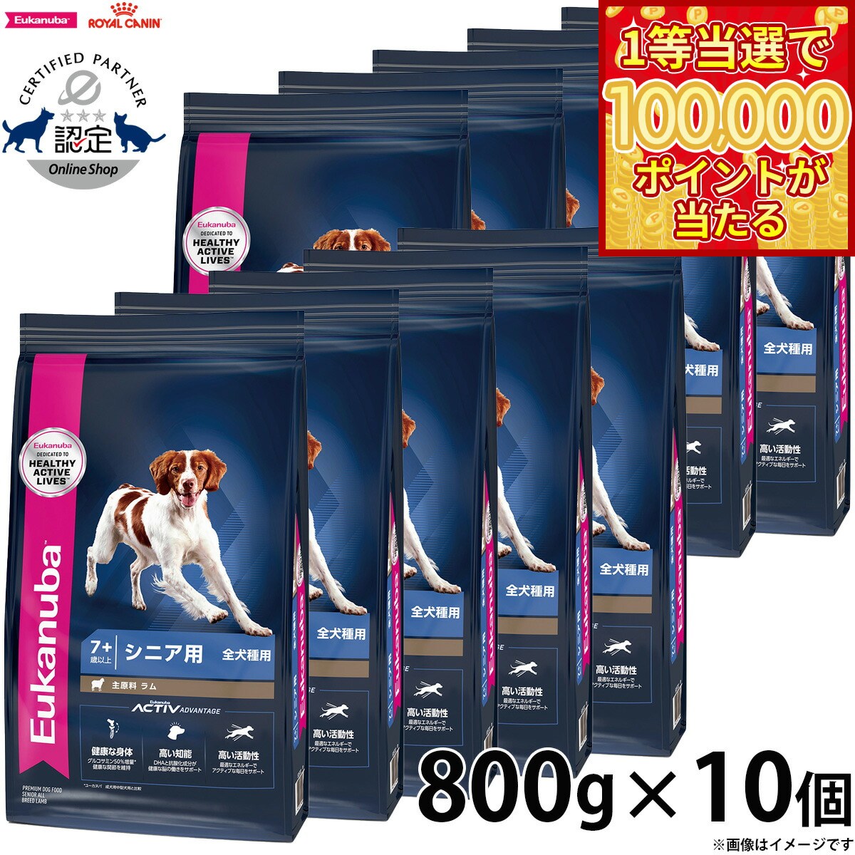 【1等最大10万ポイント当たる！20日から！】 800g×10個