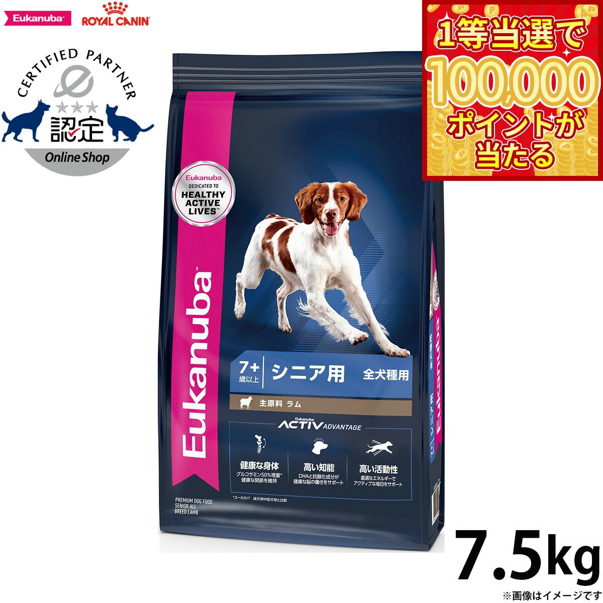 Royal Canin - 【1等最大10万ポイント当たる！31日まで！】ユーカヌバ Eukanuba ドッグフード シニア ラム＆ライス 7.5kg シニア用 全犬種用 7歳以上