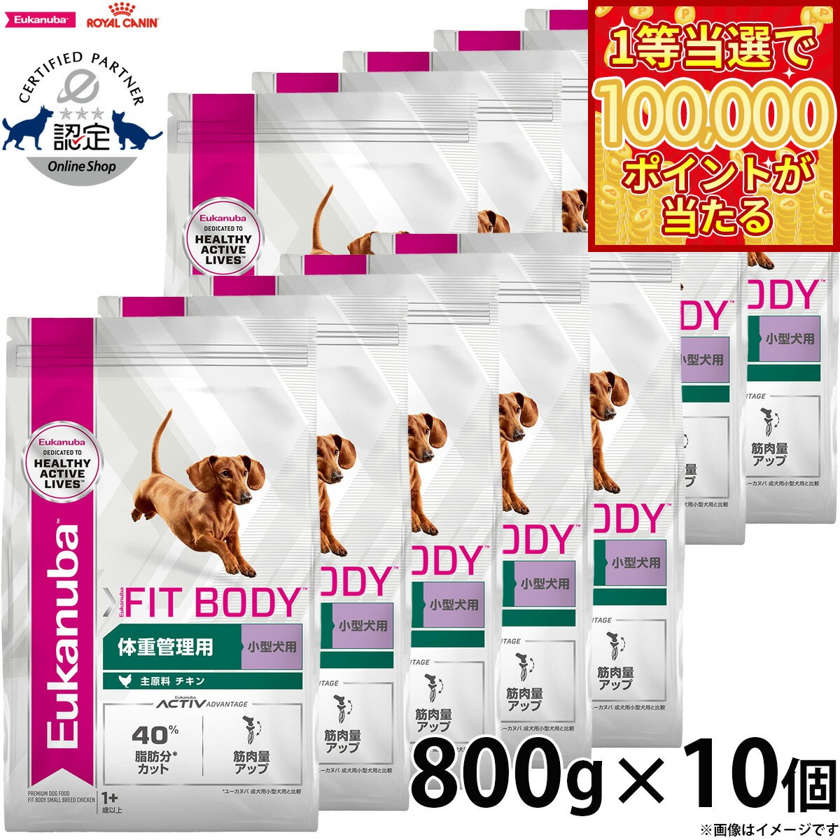 【1等最大10万ポイント当たる！20日から！】 800g×10個