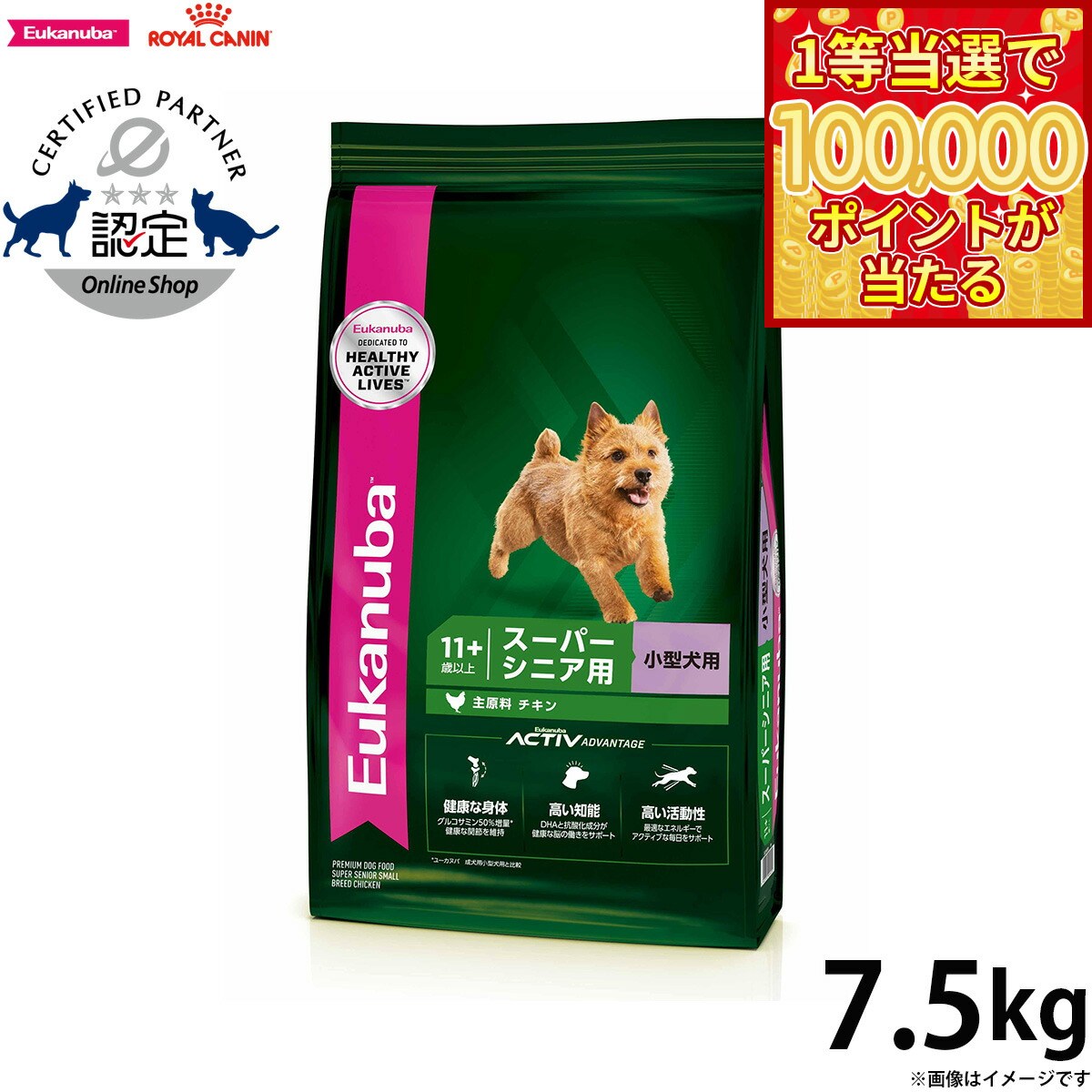 Royal Canin - 【1等最大10万ポイント当たる！31日まで！】ユーカヌバ Eukanuba ドッグフード スモール スーパーシニア 7.5kg 犬 ドライフード 老齢犬用 小型犬