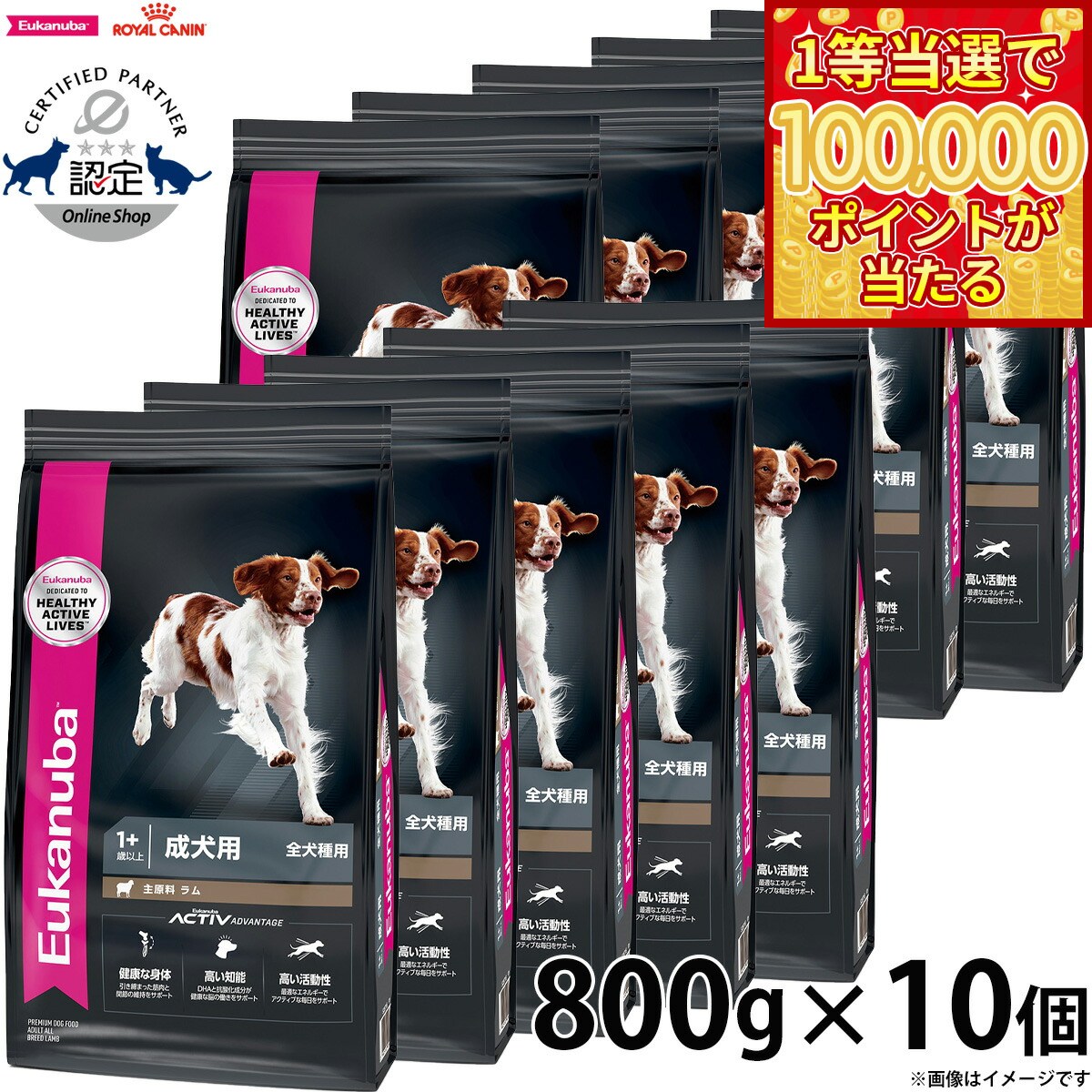 【1等最大10万ポイント当たる！20日から！】 800g×10個