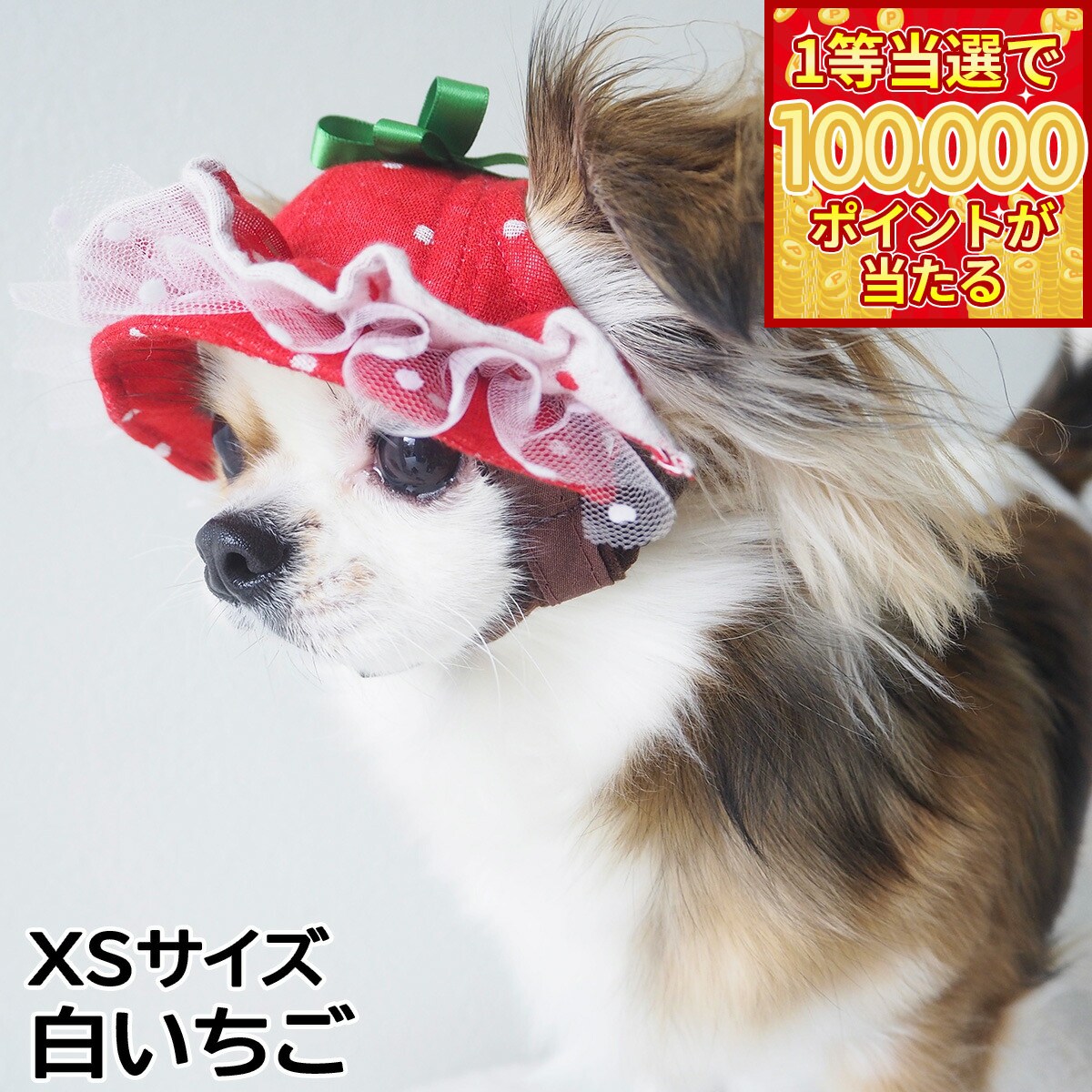 【1等最大10万ポイント当たる！31日まで！】犬の帽子 ガーデンオブエデン いちごフリルハット XS ...