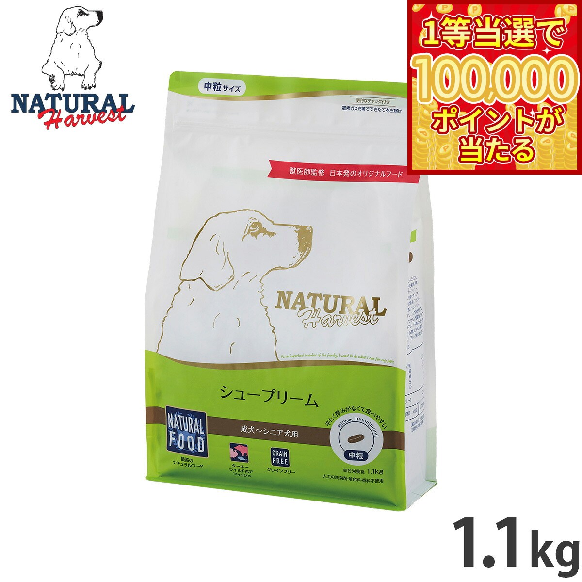 【当店限定Wイベント!最大2000円OFFクーポ...の商品画像