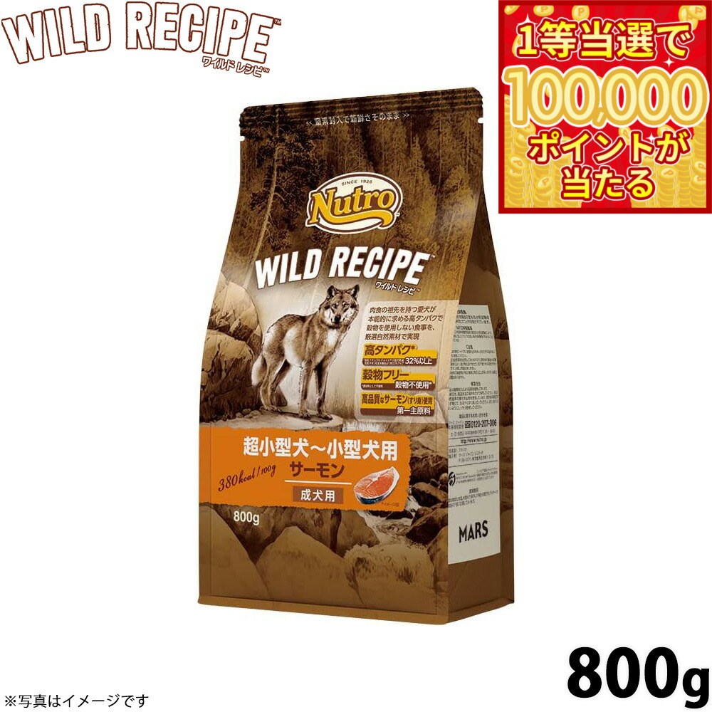 Nutro Supremo - 【1等最大10万ポイント当たる！31日まで！】ニュートロ ワイルドレシピ 超小型犬〜小型犬用 成犬用 サーモン 800g 穀物フリー/ドッグフード/穀物不使用/グレインフリー/無添加