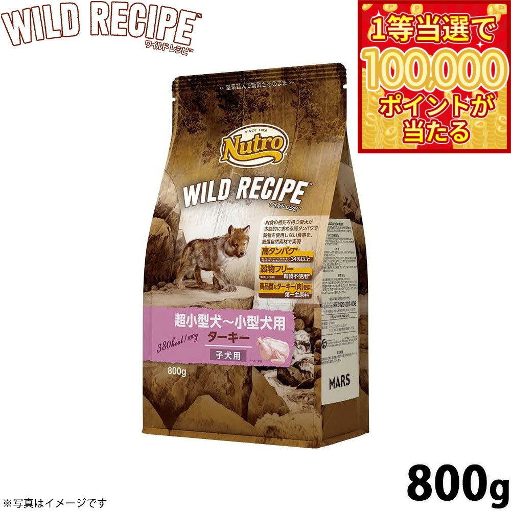 Nutro Natural Choice - 【1等最大10万ポイント当たる！31日まで！】ニュートロ ワイルド レシピ 超小型犬〜小型犬用 子犬用 ターキー 800g（ドッグフード 穀物フリー グレインフリー 無添加 犬）