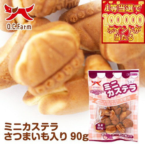 【当店限定Wイベント！最大2000円OFF�