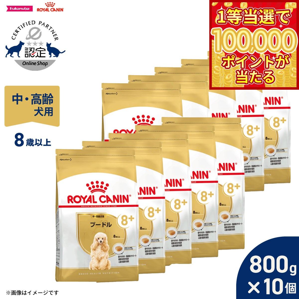 Royal Canin - 【1等最大10万ポイント当たる！31日まで！】ロイヤルカナン 犬 ドッグフード ブリードヘルスニュートリション プードル専用フード 中 高齢犬用 800g×10個 正規品