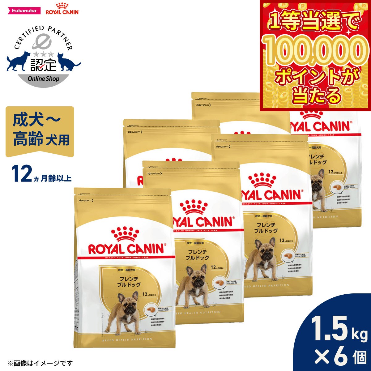 Royal Canin - 【1等最大10万ポイント当たる！20日から！】ロイヤルカナン 犬 ドッグフード ブリードヘルスニュートリション フレンチブルドッグ専用フード 成犬 高齢犬用 1.5kg×6個 正規品