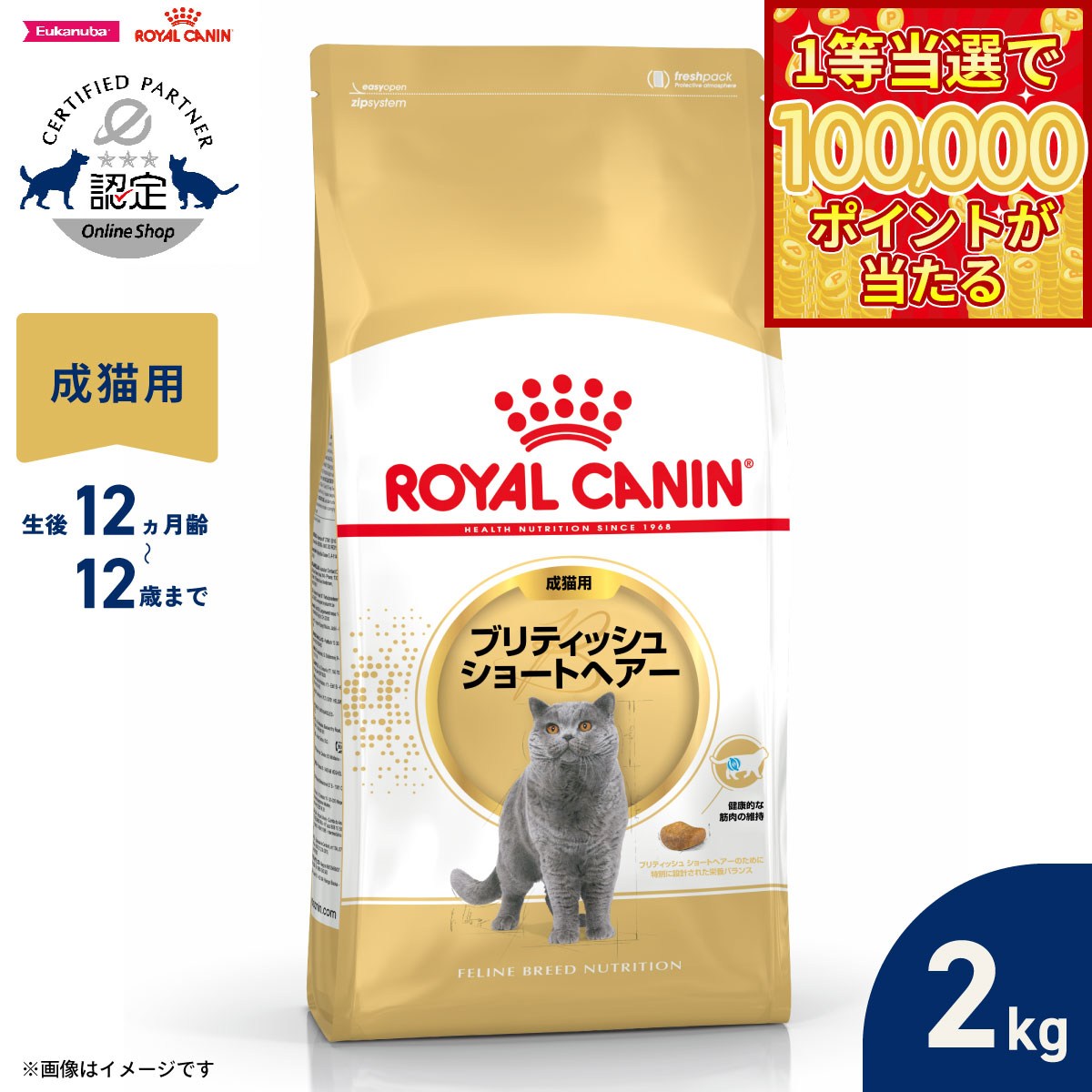 【1等最大10万ポイント当たる！31日まで！】ロイヤルカナン 猫 キャットフード フィーラインブリードニュートリション ブリティッシュ ショートヘアー専用フード 成猫用 2kg 正規品