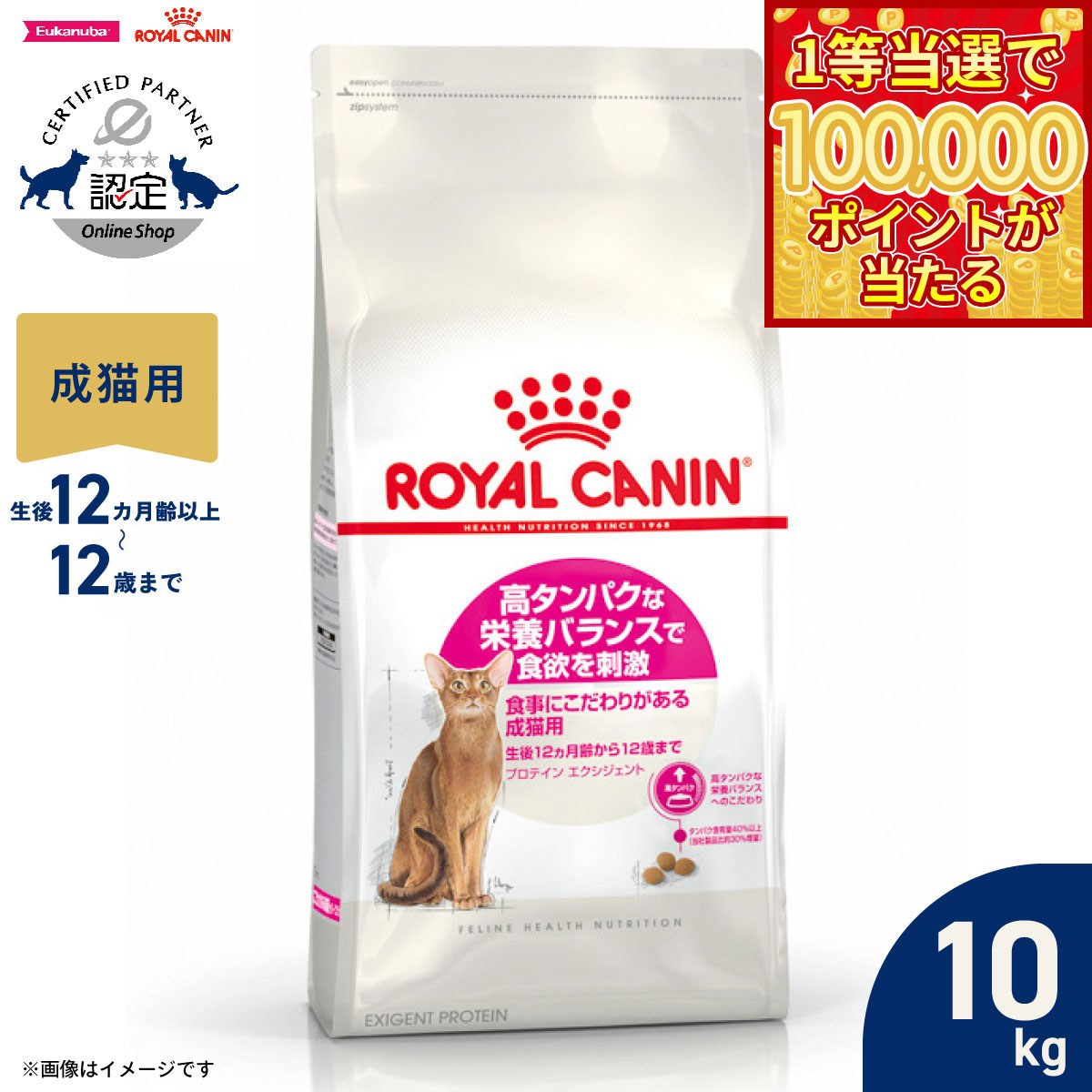 【当店限定Wイベント！最大2000円OFFクーポン＆1等最大10万ポイント】ロイヤルカナン 猫 キャットフード フィーラインヘルスニュートリション プロテインエクシジェント 10kg 正規品 高タンパクな栄養バランスにこだわる猫専用フード 成猫用