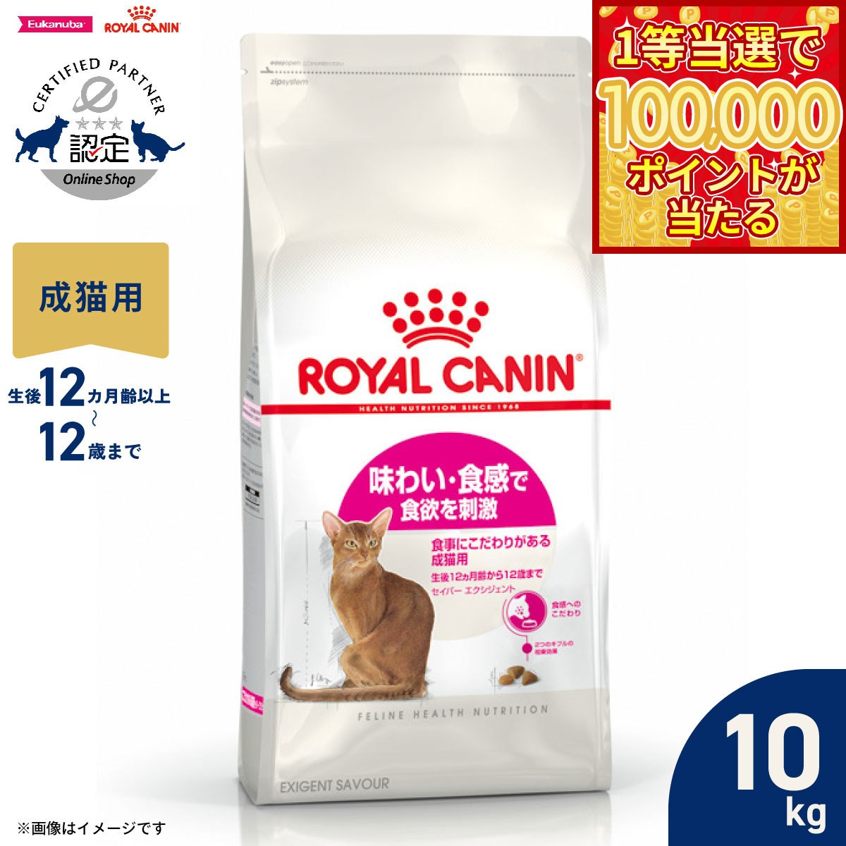 【1等最大10万ポイント当たる！20日から！】ロイヤルカナン 猫 キャットフード フィーラインヘルスニュートリション セイバーエクシジェント 10kg 正規品 味わい・食感にこだわる猫専用フード 成猫用