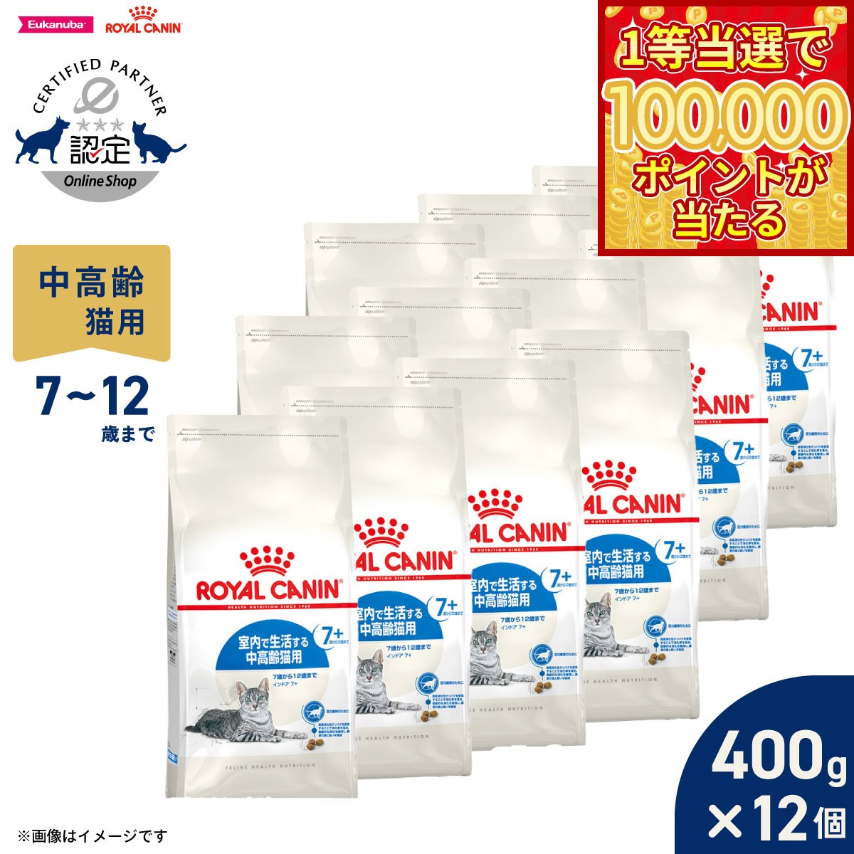 Royal Canin - 【1等最大10万ポイント当たる！20日から！】ロイヤルカナン 猫 キャットフード フィーラインヘルスニュートリション インドア 7＋ 400g×12袋 正規品 室内で生活する7歳以上の猫専用フード 中高齢猫用
