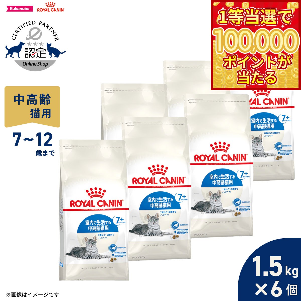 Royal Canin - 【1等最大10万ポイント当たる！20日から！】ロイヤルカナン 猫 キャットフード フィーラインヘルスニュートリション インドア 7＋ 1.5kg×6個 正規品 室内で生活する7歳以上の猫専用フード 中高齢猫用