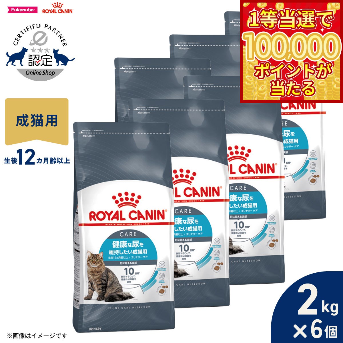 【1等最大10万ポイント当たる！20日から！】ロイヤルカナン 猫 キャットフード フィーラインケアニュートリション ユリナリーケア 2kg×6個 正規品 健康な尿を維持したい猫専用フード 成猫用