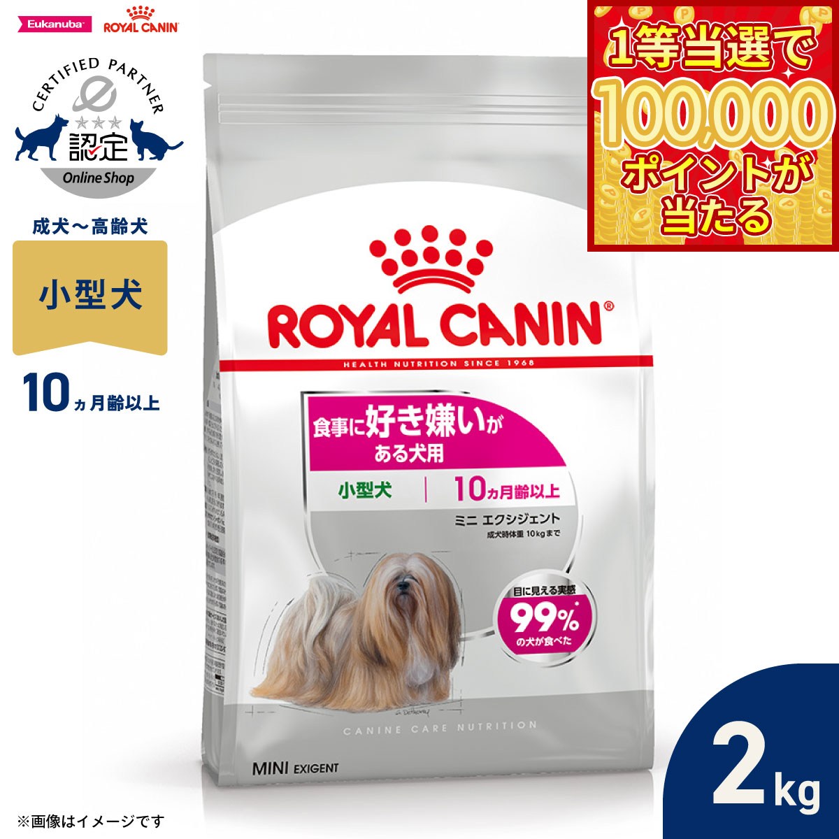 Royal Canin - 【1等最大10万ポイント当たる！20日から！】ロイヤルカナン 犬 ドッグフード ケーナインケアニュートリション ミニ エクシジェント 2kg 正規品 食事に好き嫌いがある犬用 小型犬専用 成犬〜高齢犬用