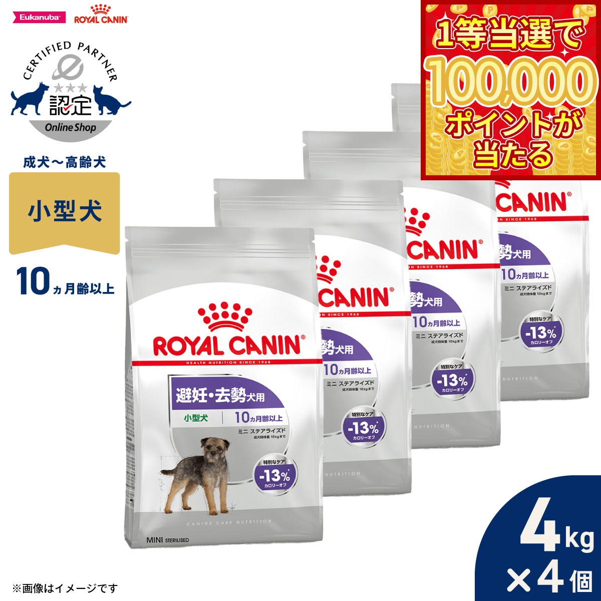 ��1������10���ݥ���������롪20�����顪�ۥ�����륫�ʥ� �� �ɥå��ա��� �����ʥ��󥱥��˥塼�ȥꥷ��� �ߥ� ���ƥ��饤���� 4kg��4�� ������ ��ǥ �������� ���������� ������������