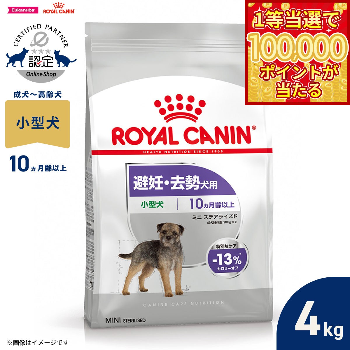 ��1������10���ݥ���������롪20�����顪�ۥ�����륫�ʥ� �� �ɥå��ա��� �����ʥ��󥱥��˥塼�ȥꥷ��� �ߥ� ���ƥ��饤���� 4kg ������ ��ǥ �������� ���������� ������������