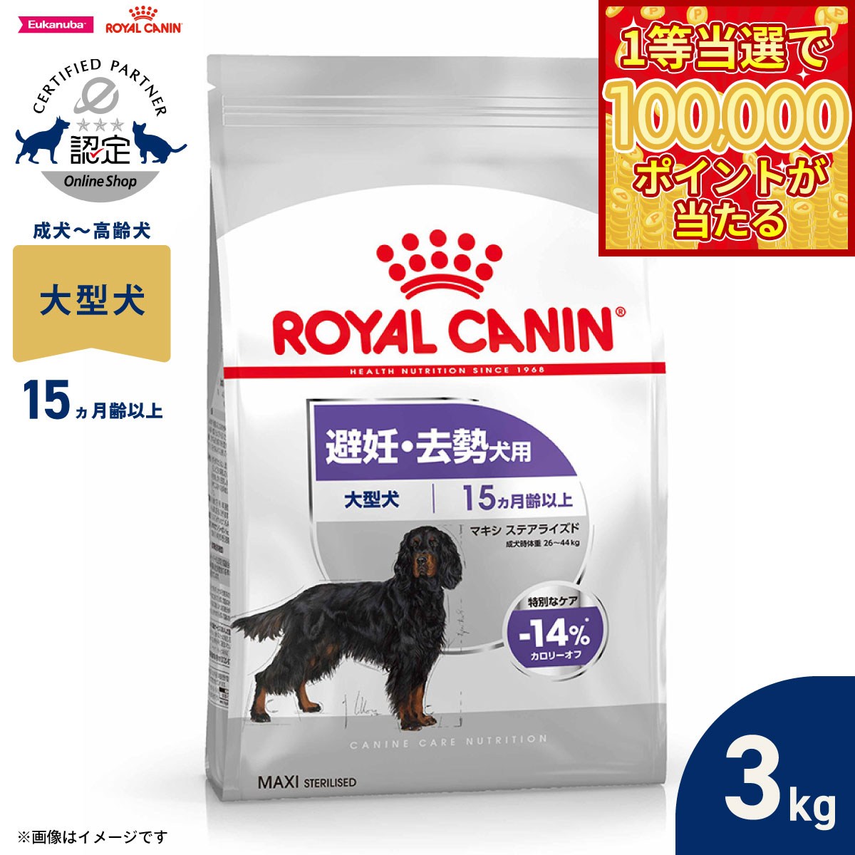 Royal Canin - 【1等最大10万ポイント当たる！20日から！】ロイヤルカナン 犬 ドッグフード ケーナインケアニュートリション マキシ ステアライズド 3kg 正規品 避妊 去勢犬用 大型犬専用 成犬〜高齢犬用