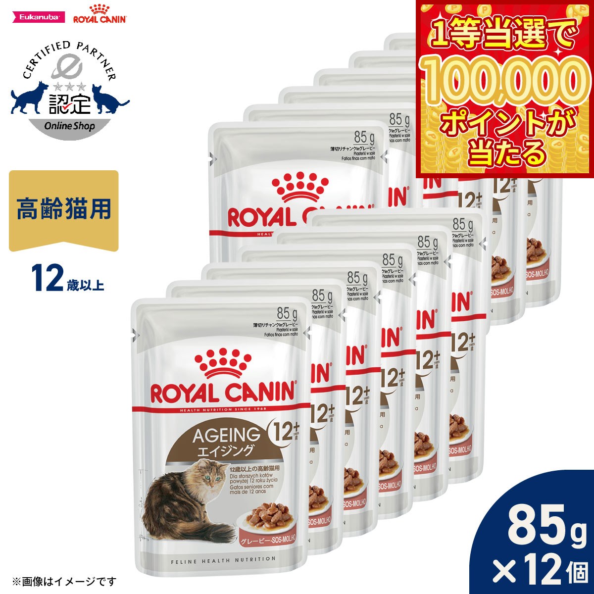 Royal Canin - 【マラソン限定！最大2000円OFFクーポン＆1等最大10万ポイント】ロイヤルカナン 猫 キャットフード フィーラインヘルスニュートリション ウェットフード エイジング 12＋ 85g×12個 正規品 猫専用ウェットフード 高齢猫用