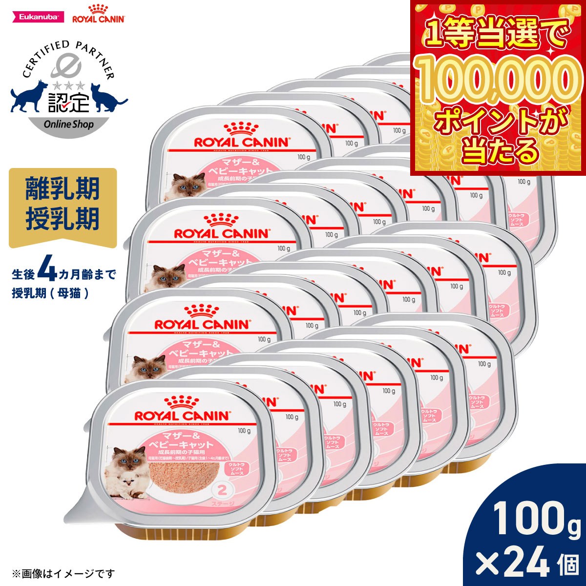 【1等最大10万ポイント当たる！20日から！】ロイヤルカナン 猫 キャットフード ウェットフード マザー＆ベビーキャット 100g×24個 正規品 離乳期の子猫用フード 離乳期〜生後4カ月齢まで 母猫用 授乳期