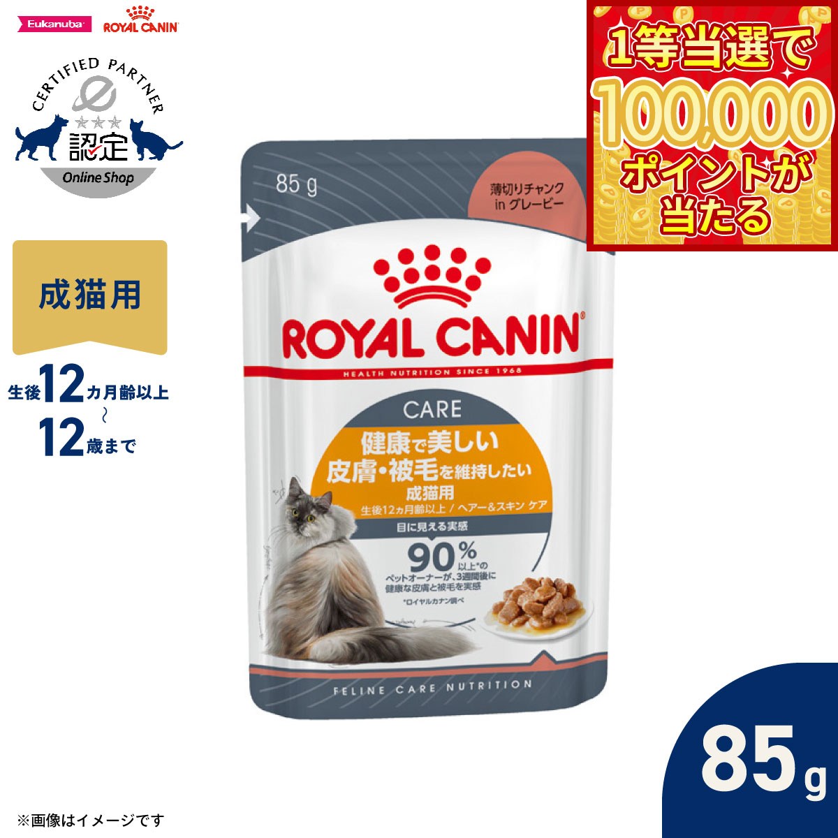 【1等最大10万ポイント当たる！31日まで！】ロイヤルカナン 猫 キャットフード ウェットフード ヘアー＆スキン ケア グレービー 85g 正規品 健康で美しい皮膚 被毛を維持したい猫専用ウェットフード 成猫用