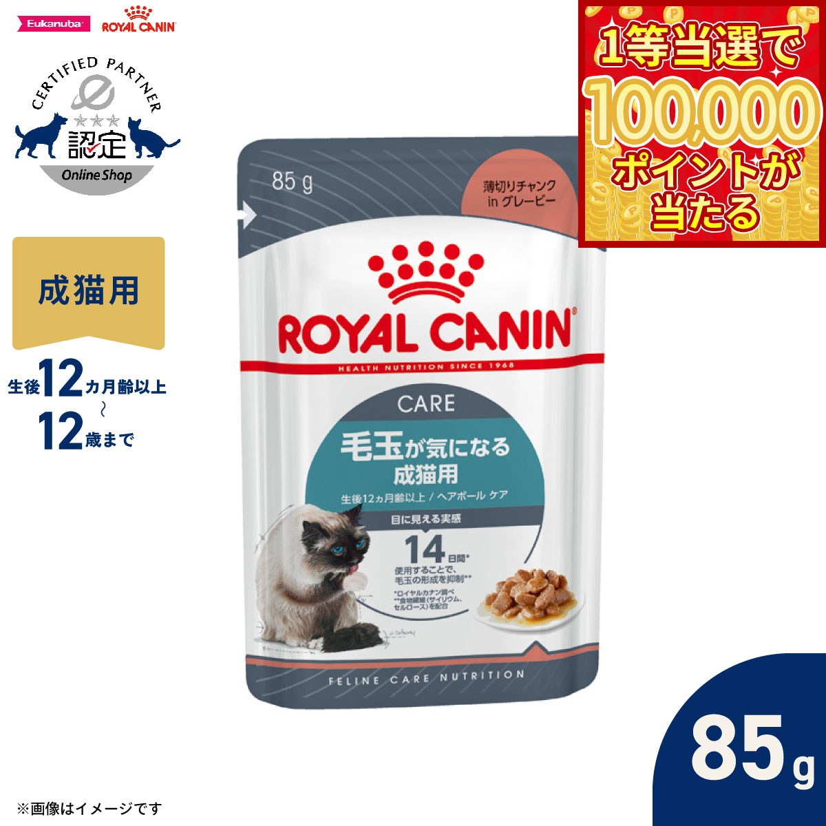 【1等最大10万ポイント当たる！31日まで！】ロイヤルカナン 猫 キャットフード フィーラインケアニュートリション ウェットフード ヘアボールケア 85g 正規品 毛玉が気になる猫専用フード 成猫用