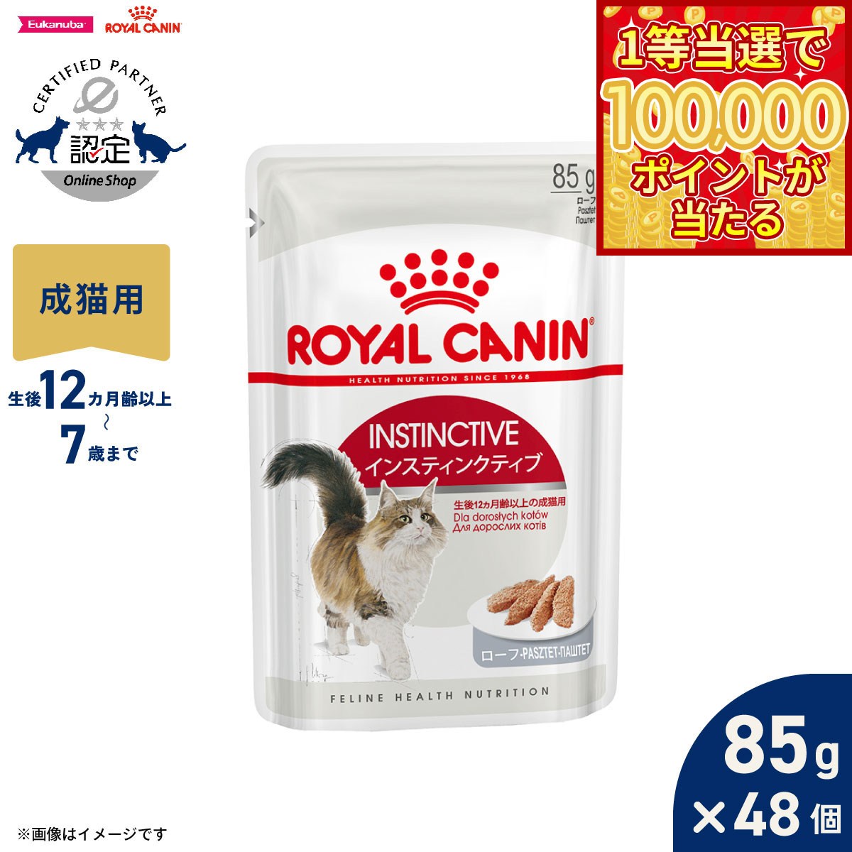 【当店限定Wイベント！最大2000円OFFクーポン＆1等最大10万ポイント】ロイヤルカナン 猫 キャットフード フィーラインヘルスニュートリション ウェットフード インスティンクティブ ローフ 85g×48個 正規品 猫専用ウェットフード 成猫用