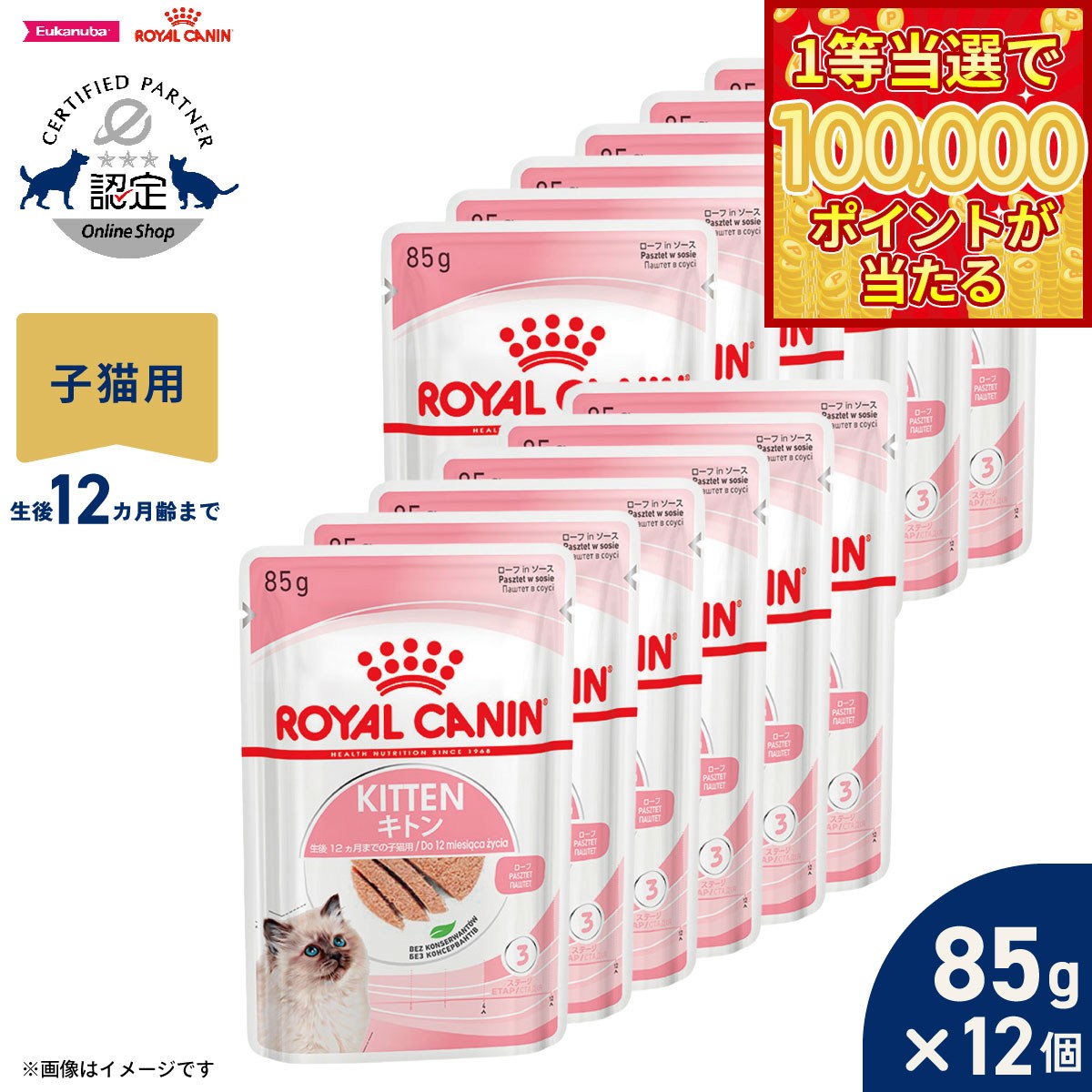 Royal Canin - 【1等最大10万ポイント当たる！31日まで！】ロイヤルカナン 猫 キャットフード フィーラインヘルスニュートリション ウェットフード キトン ローフ 85g×12パウチ 正規品 猫専用ウェットフード 子猫用