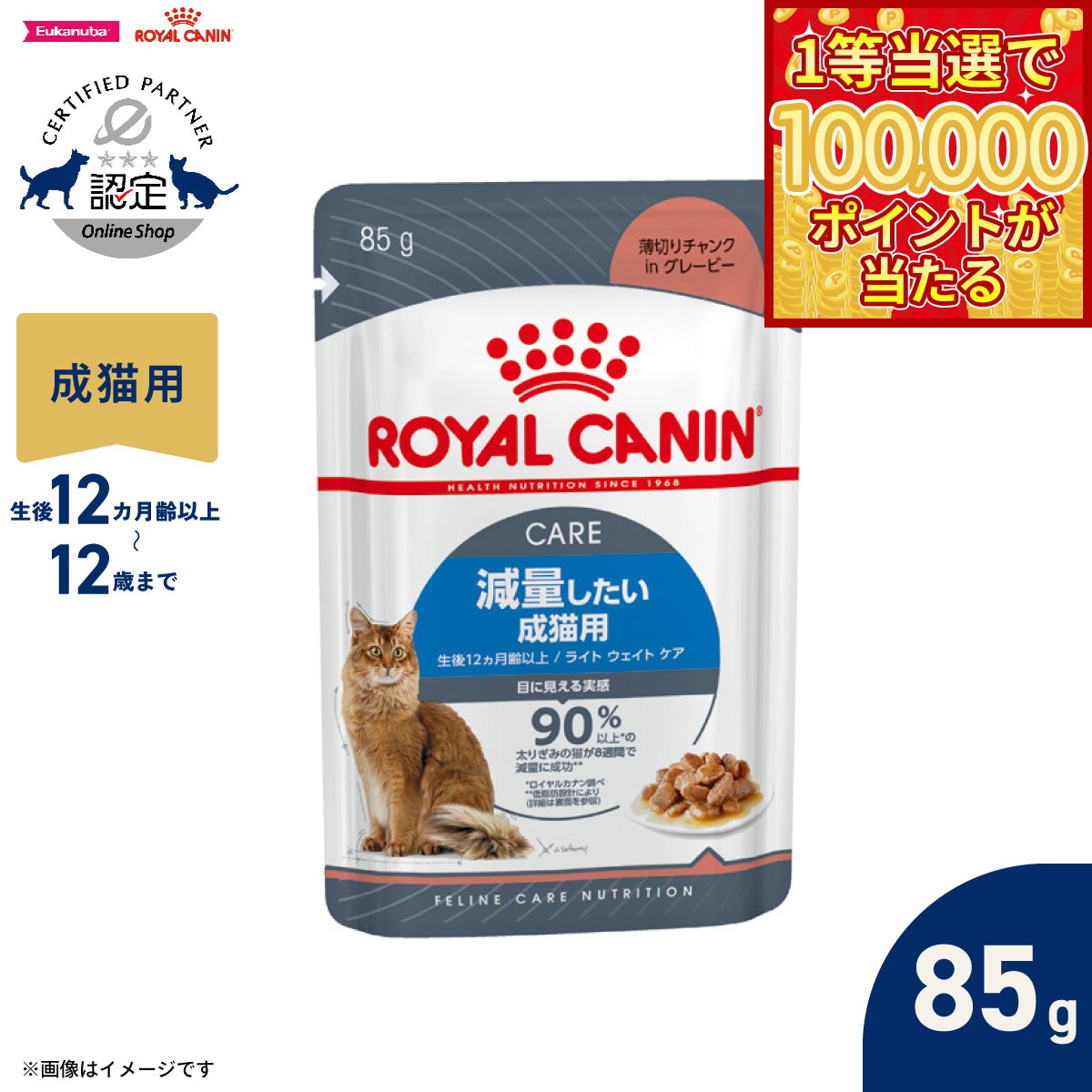 Royal Canin - 【1等最大10万ポイント当たる！31日まで！】ロイヤルカナン 猫 キャットフード フィーラインケアニュートリション ウェットフード ライト ウェイト ケア 減量したい成猫用 85g 正規品 減量したい猫専用ウェットフード 成猫用
