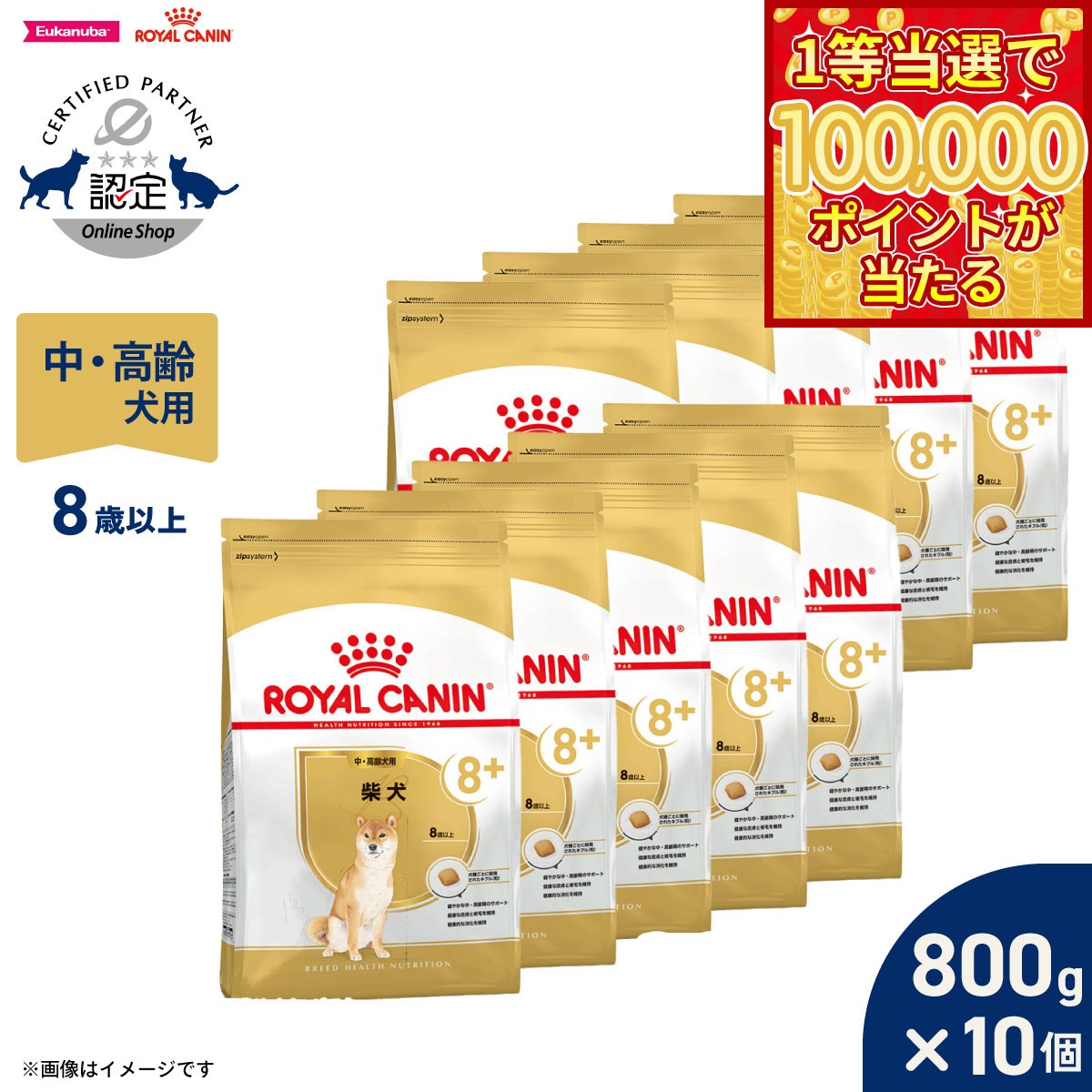 Royal Canin - 【1等最大10万ポイント当たる！31日まで！】ロイヤルカナン 犬 ドッグフード ブリードヘルスニュートリション 柴犬専用フード 中 高齢犬用 800g×10個 正規品