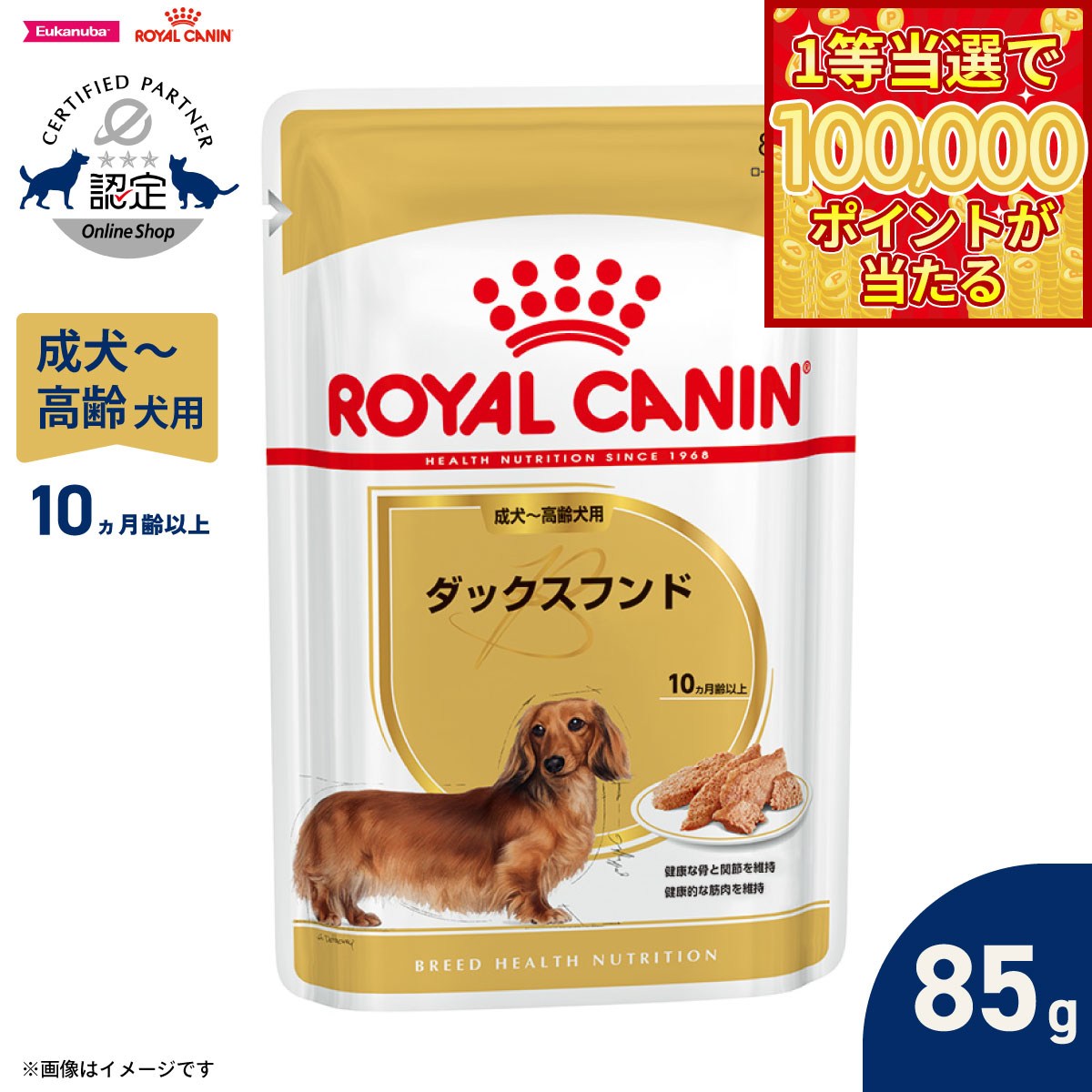 【1等最大10万ポイント当たる！31日まで！】ロイヤルカナン 犬 ドッグフード ブリードヘルスニュートリション ウェット ダックスフンド専用ウェットフード 成犬〜高齢犬用 85g 正規品