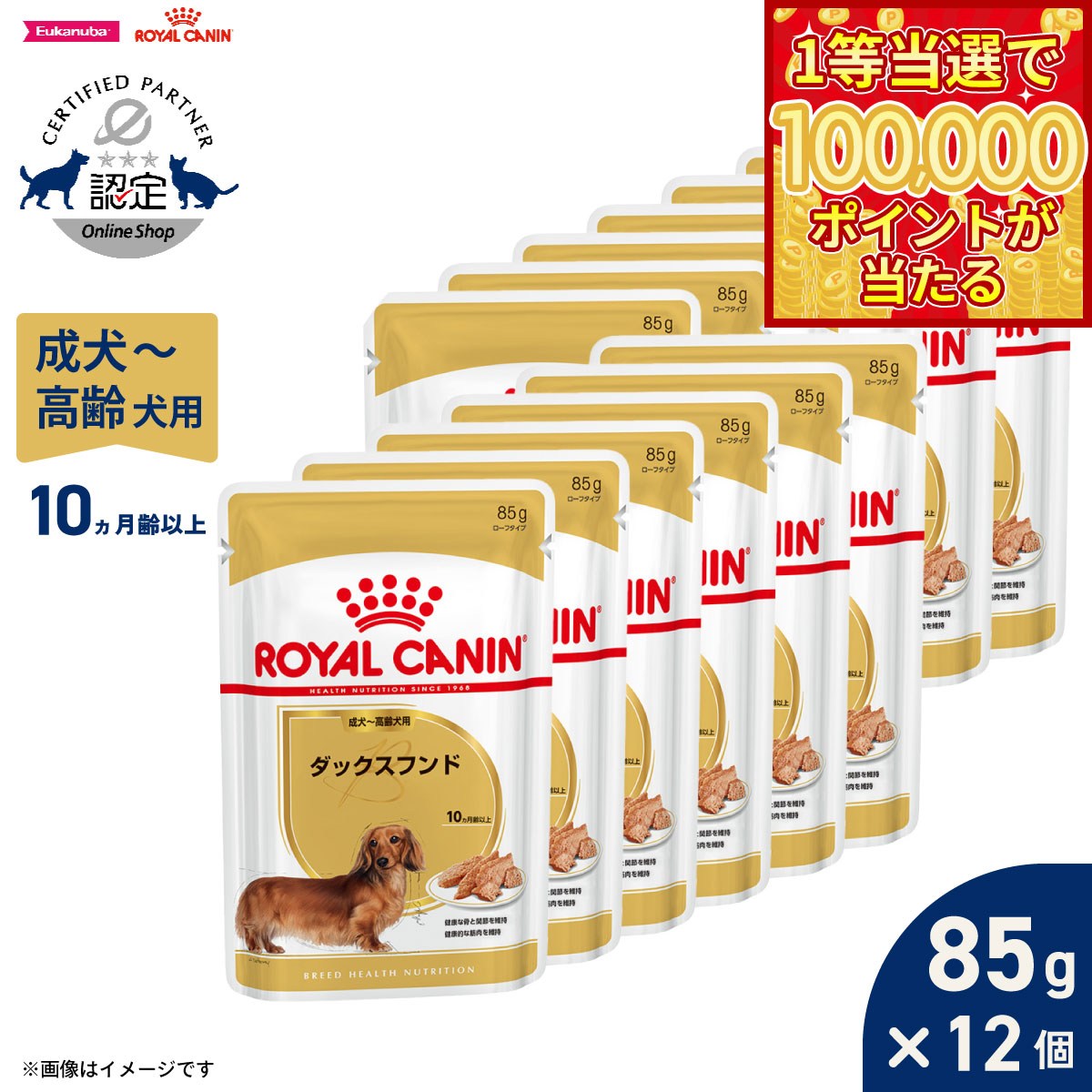 【1等最大10万ポイント当たる！31日まで！】ロイヤルカナン 犬 ドッグフード ブリードヘルスニュートリション ウェット ダックスフンド専用ウェットフード 成犬〜高齢犬用 85g×12袋 正規品