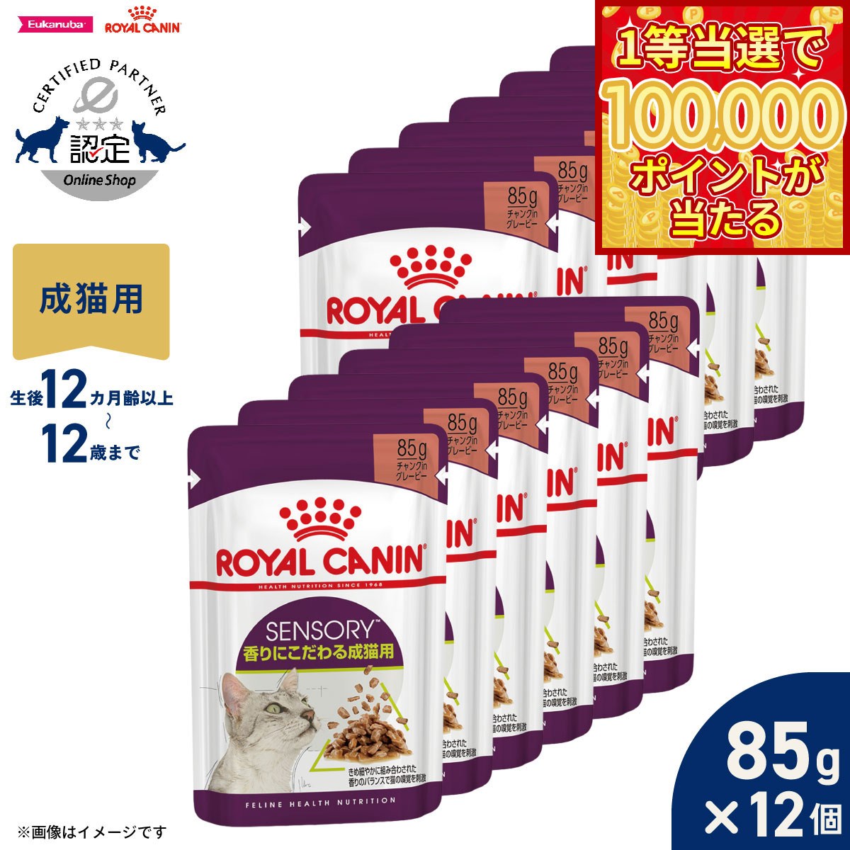 Royal Canin - 【1等最大10万ポイント当たる！31日まで！】ロイヤルカナン 猫 キャットフード フィーラインヘルスニュートリション ウェット センサリー 香りにこだわる成猫用 85g×12袋 正規品 猫専用ウェットフード 成猫用