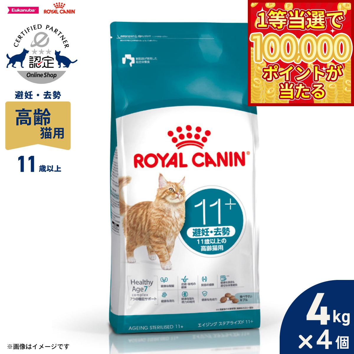 Royal Canin - 【1等最大10万ポイント当たる！20日から！】ロイヤルカナン 猫 キャットフード フィーライン ヘルス ニュートリション エイジングステアライズド 11＋ 4kg×4個 高齢猫用 避妊 去勢用 正規品 FHN