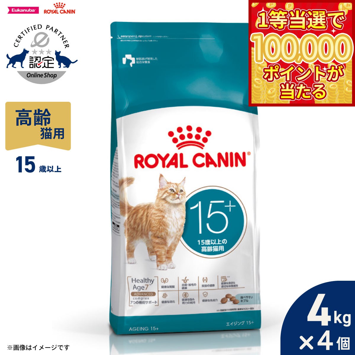 Royal Canin - 【1等最大10万ポイント当たる！20日から！】ロイヤルカナン 猫 キャットフード フィーライン ヘルス ニュートリション エイジング15＋ 4kg×4個 高齢猫用 正規品 FHN