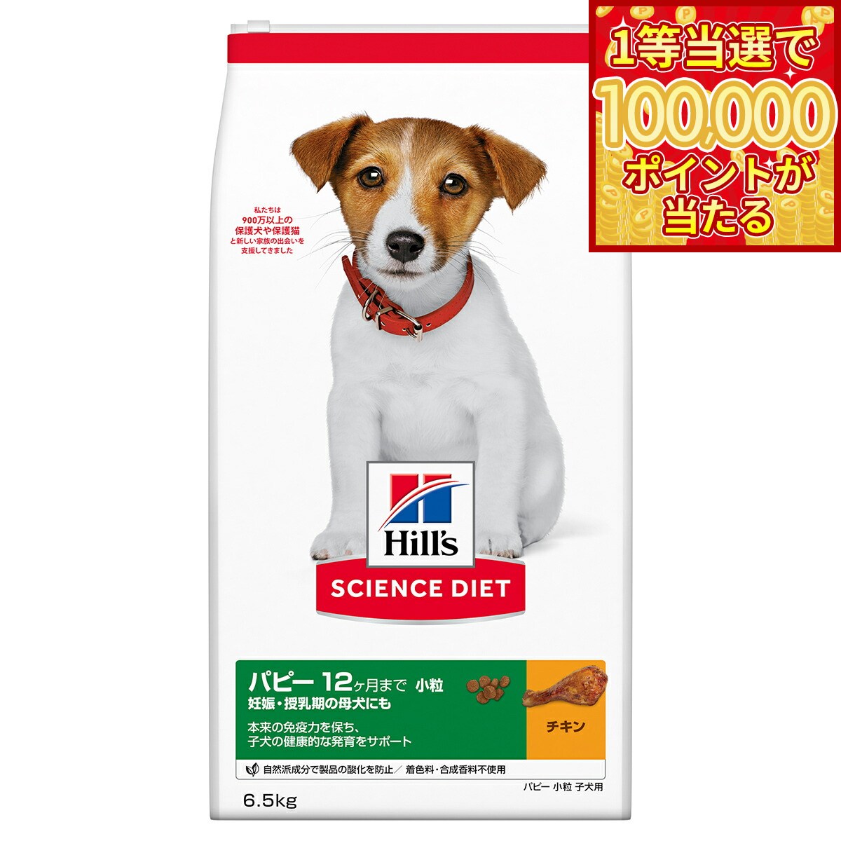 Science Diet - 【1等最大10万ポイント当たる！20日から！】サイエンス ダイエット パピー 小粒 子犬用 12か月まで チキン 6.5kg ヒルズ ドッグフード ドライフード 総合栄養食 着色料 香料不使用