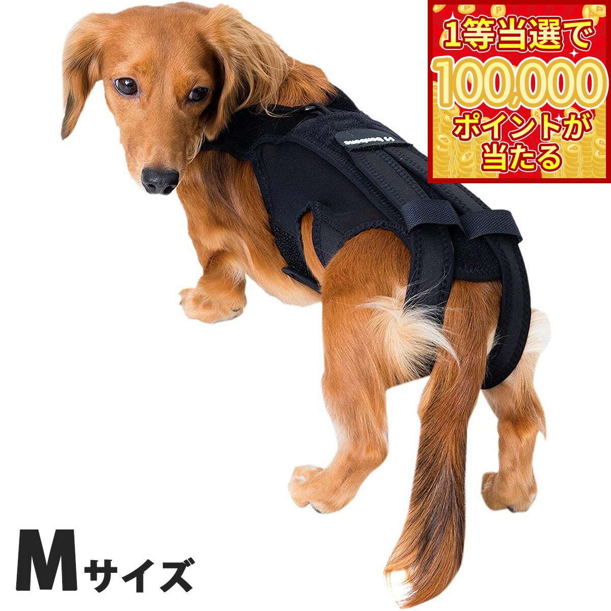 【1等最大10万ポイント当たる！20日から！】わんコル 持ち手つき Mサイズ 送料無料 犬用品/ペットグッズ/ペット用品