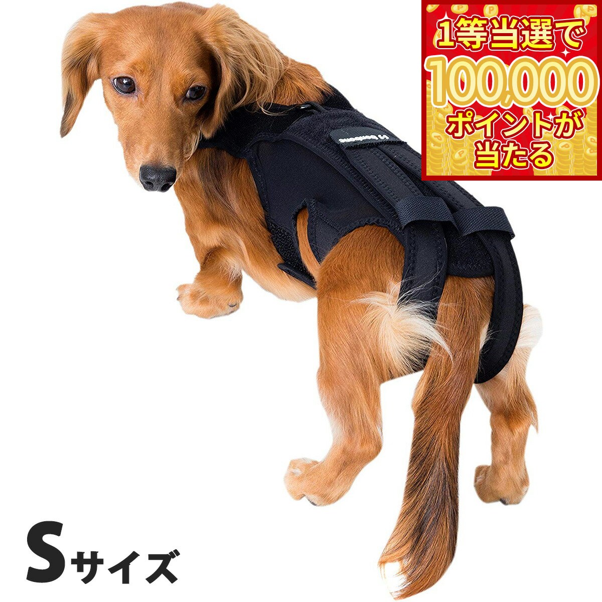 【1等最大10万ポイント当たる！20日から！】わんコル 持ち手つき Sサイズ 送料無料 犬用品/ペットグッズ/ペット用品