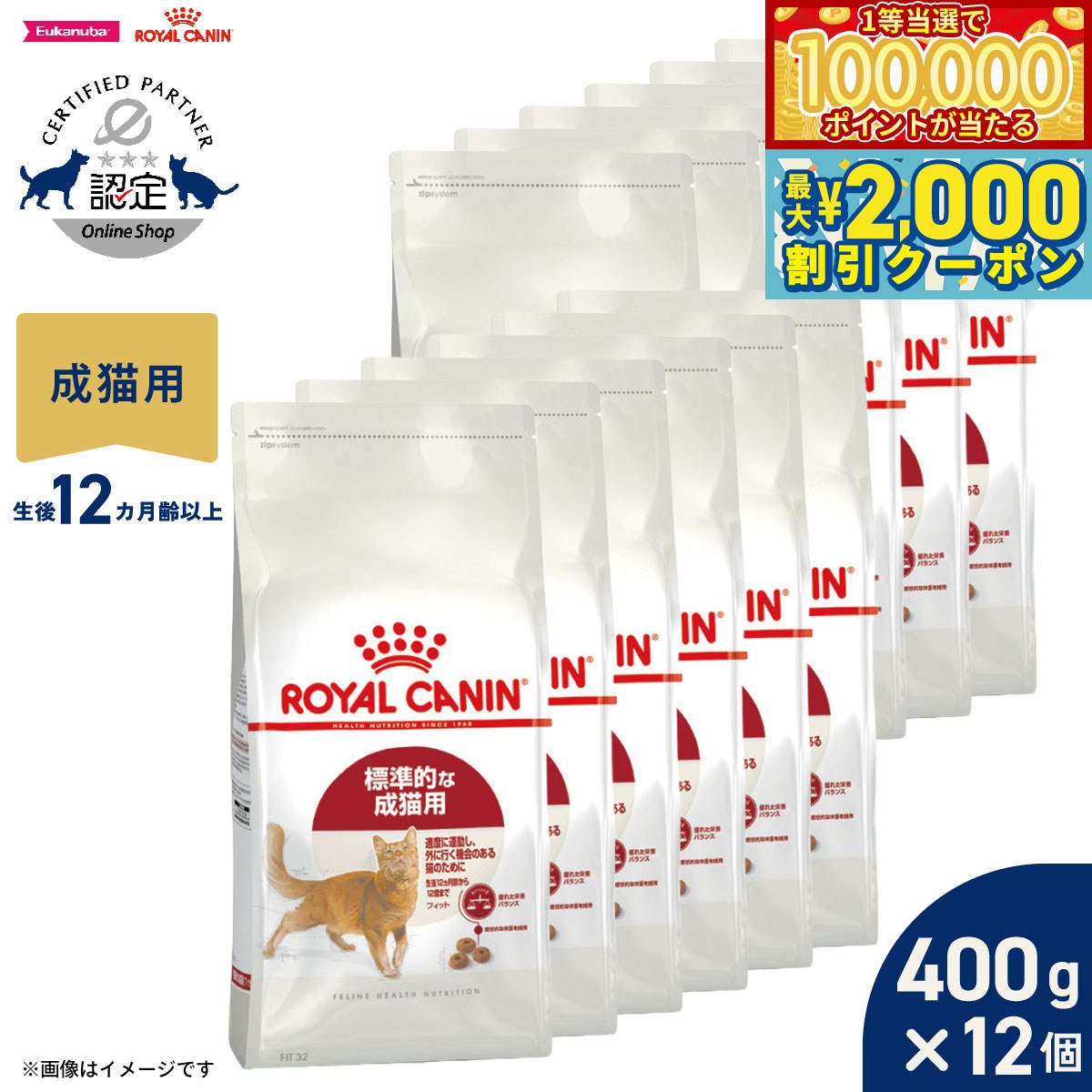 Royal Canin - 【マラソン限定！最大2000円OFFクーポン＆1等最大10万ポイント】ロイヤルカナン 猫 キャットフード フィーラインヘルスニュートリション フィット 400g×12袋 正規品 適度に運動をする猫専用フード 成猫用