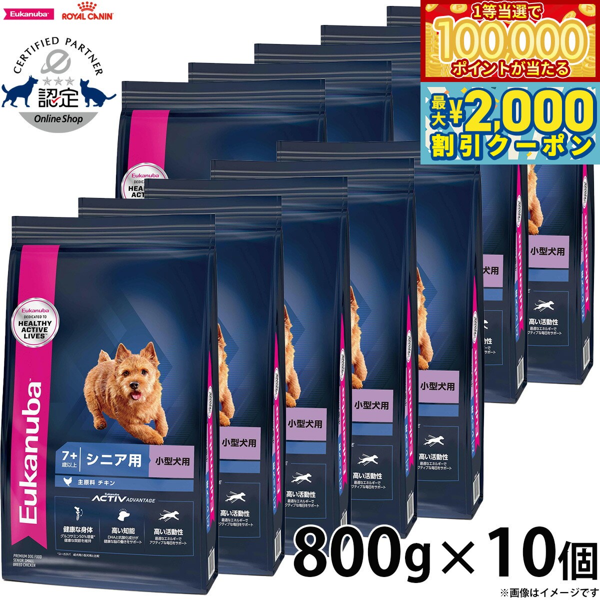 Royal Canin - 【マラソン限定！最大2000円OFFクーポン＆1等最大10万ポイント】 800g×10個