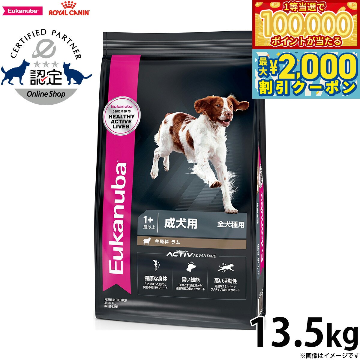 Eukanuba 成犬用 大型犬用 ドライフード15キロ 【公式通販】