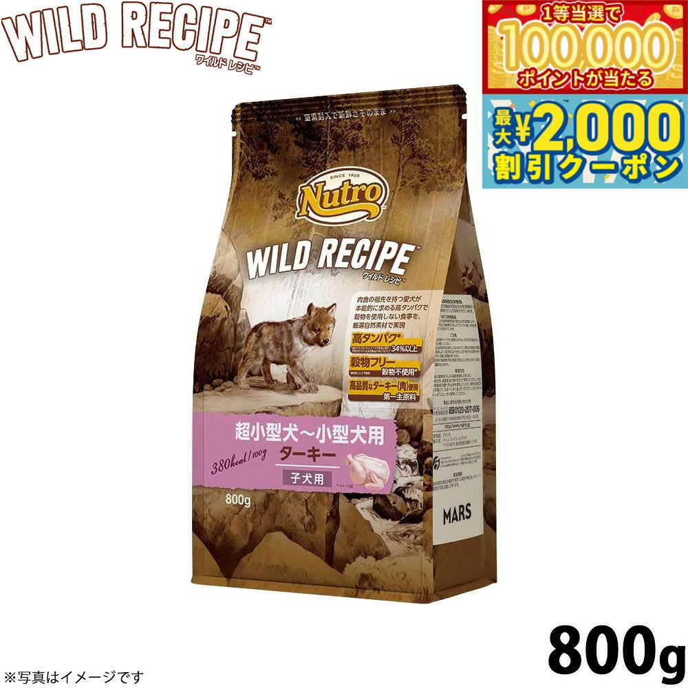 Nutro Natural Choice - 【当店限定Wイベント！最大2000円OFFクーポン＆1等最大10万ポイント】ニュートロ ワイルド レシピ 超小型犬〜小型犬用 子犬用 ターキー 800g（ドッグフード 穀物フリー グレインフリー 無添加 犬）