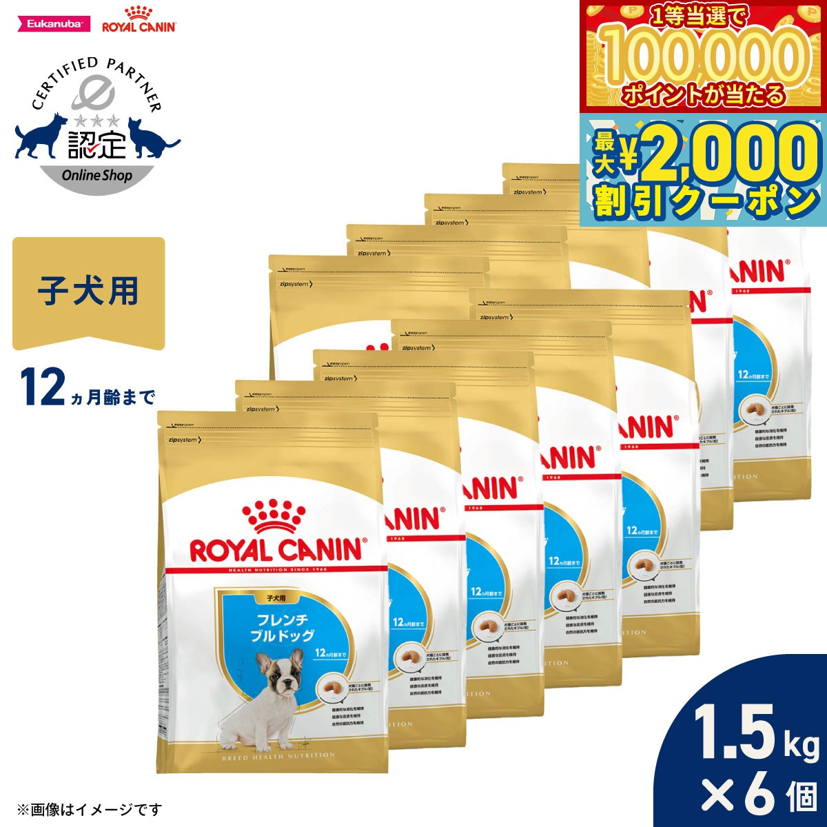 Royal Canin - 【マラソン限定！最大2000円OFFクーポン＆1等最大10万ポイント】ロイヤルカナン 犬 ドッグフード ブリードヘルスニュートリション フレンチブルドッグ専用フード 子犬用 1kg×10個 正規品