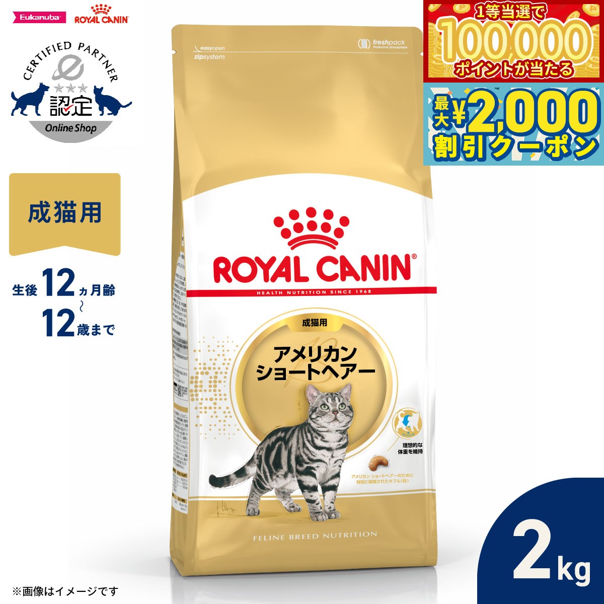 ロイヤルカナン 猫 キャットフード フィーラインブリードニュートリション アメリカンショートヘアー専用フード 成猫用 2kg 正規品