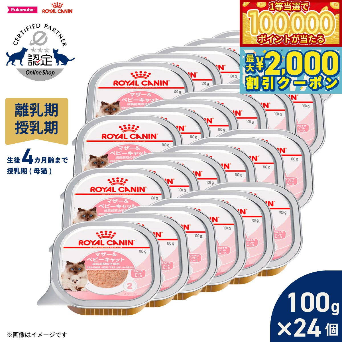 Royal Canin - 【マラソン限定！最大2000円OFFクーポン＆1等最大10万ポイント】ロイヤルカナン 猫 キャットフード ウェットフード マザー＆ベビーキャット 100g×24個 正規品 離乳期の子猫用フード 離乳期〜生後4カ月齢まで 母猫用 授乳期