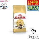 【店内ポイント最大40倍!本日限定!】ロイヤルカナン 猫 キャットフード メインクーン 成猫用 2kg×3個 正規品/猫用品/ねこグッズ/ペットグッズ/ペット用...