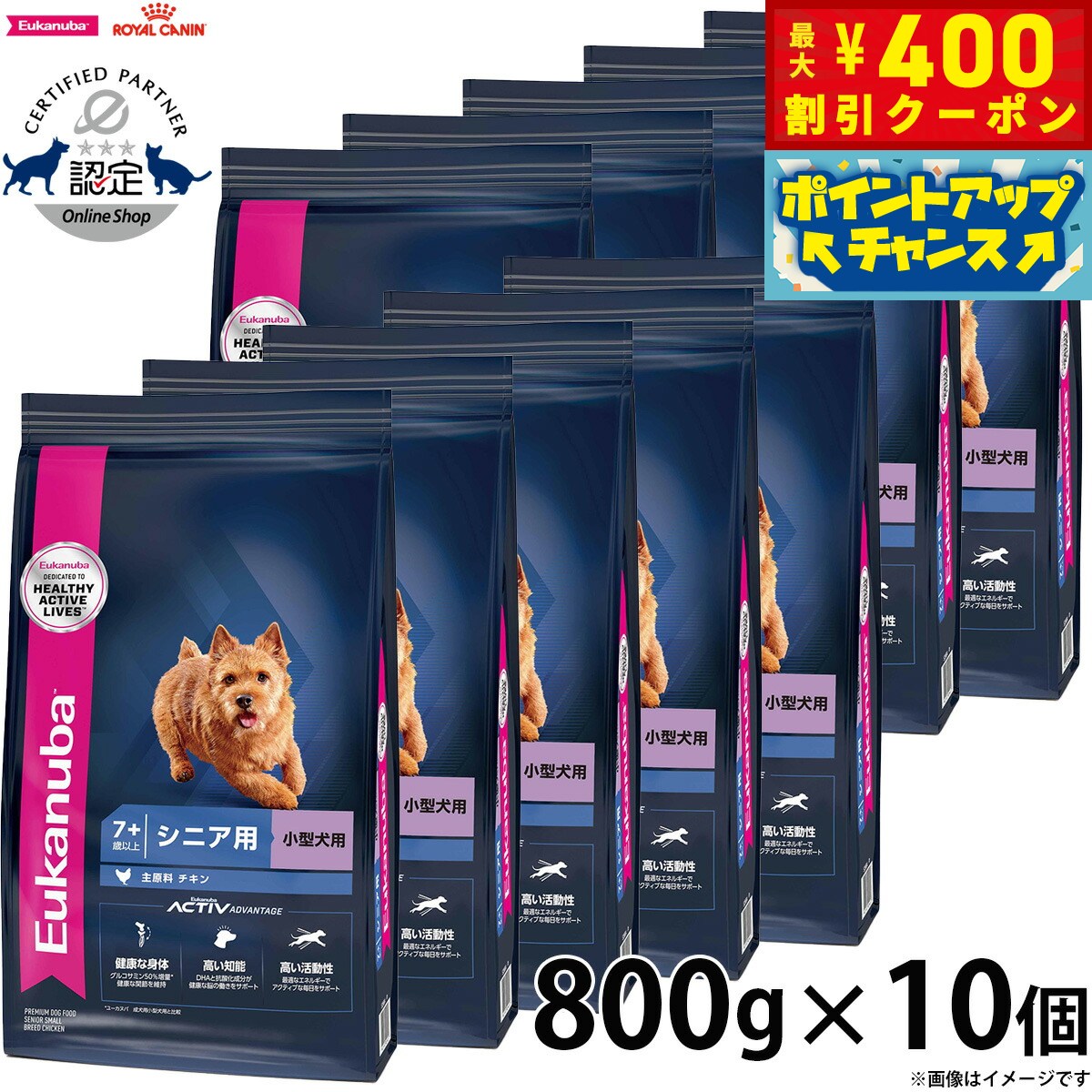 Royal Canin - 【400円OFFクーポン！＆店内ポイント最大42倍！本日限定！】 800g×10個
